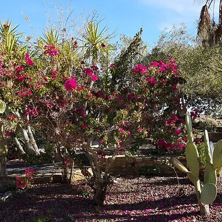 Cortijo De Don Victor - House With 2 In Vera, With Private Pool Vera